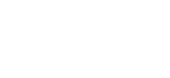 Logo Unzadi blanco